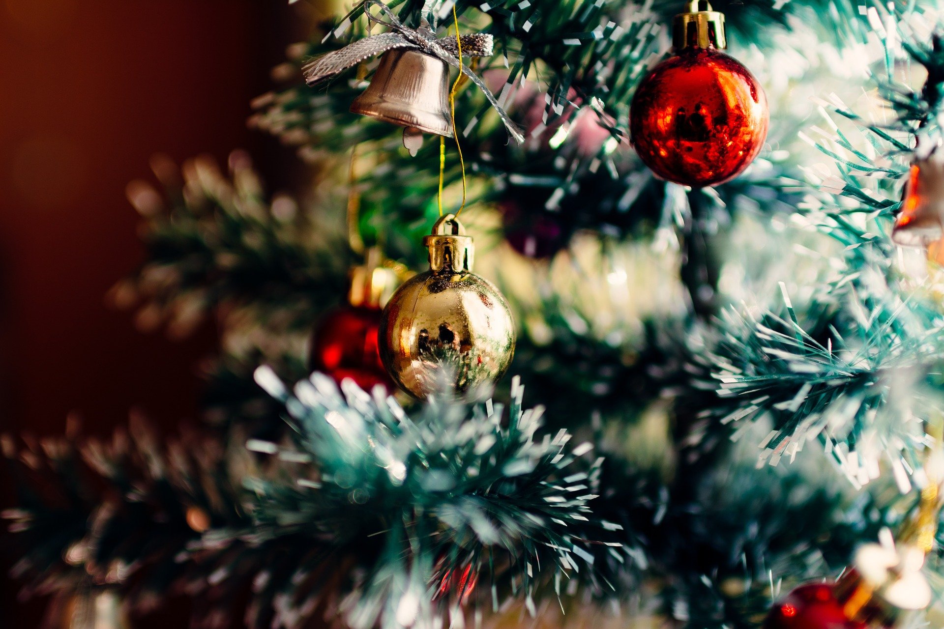 Cât costă bradul de Crăciun în 2020, reduceri până pe 6 decembrie