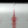 Cutremur cu magnitudinea de 4,2 în România, miercuri dimineața. În ce zonă s-a produs