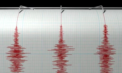 Cutremur cu magnitudinea de 4,2 în România, miercuri dimineața. În ce zonă s-a produs