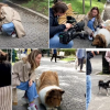 Japonezul care a cheltuit 13.000 de euro ca să devină câine și-a făcut prima apariție în public, ca un Collie. Vrea să testeze reacțiile animalelor