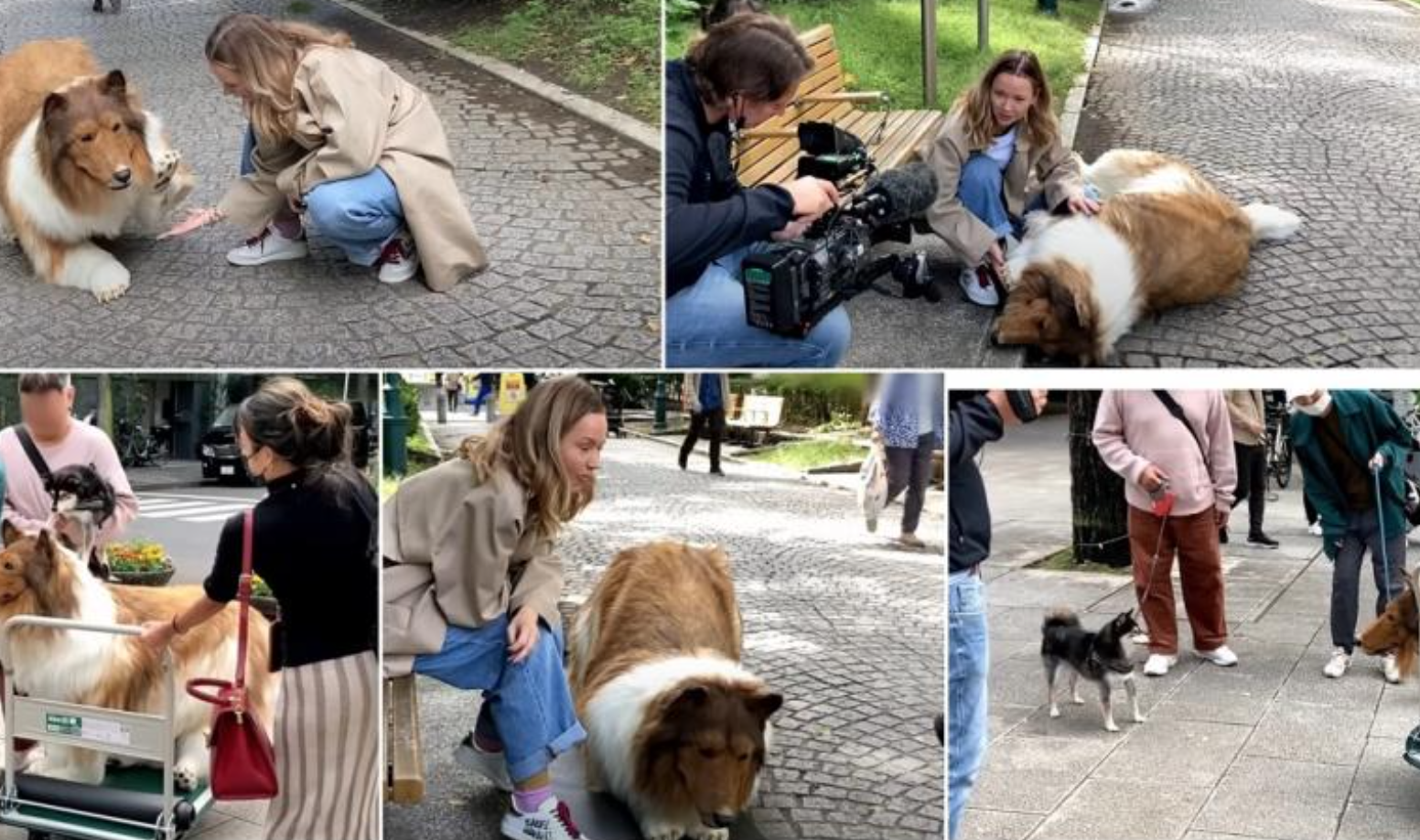 Japonezul care a cheltuit 13.000 de euro ca să devină câine și-a făcut prima apariție în public, ca un Collie. Vrea să testeze reacțiile animalelor
