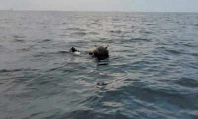 Alertă! Autoritățile au găsit o nouă mina marină, foarte aproape de locul exploziei