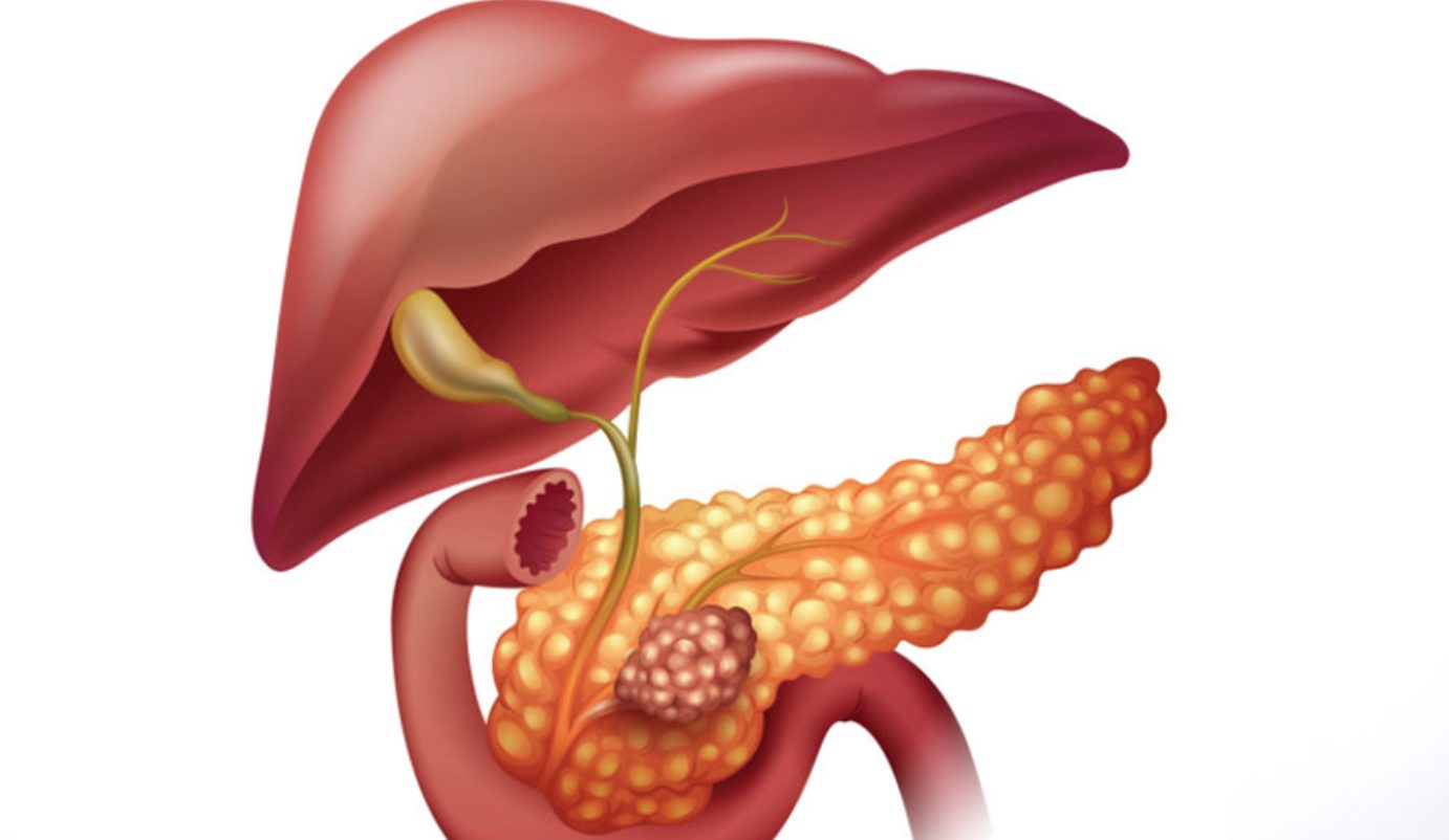 Pancreasul- un organ vital! Iata cele 8 simptome ale unui pancreas bolnav