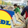 Salarii la Lidl 2023. Cât de mari sunt diferențele față de Kaufland și Mega Image