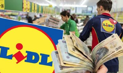 Salarii la Lidl 2023. Cât de mari sunt diferențele față de Kaufland și Mega Image