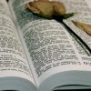 Ce scrie în Biblie despre războiul din Israel. Ar putea prevesti apocalipsa?