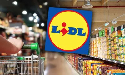 Oferta Lidl pentru săptămâna 16 – 22 octombrie. Produse adorate de români, din nou la raft