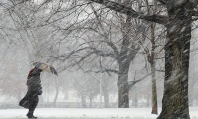 Alertă meteo! Temperaturilor vor ajunge la maxim -8 grade