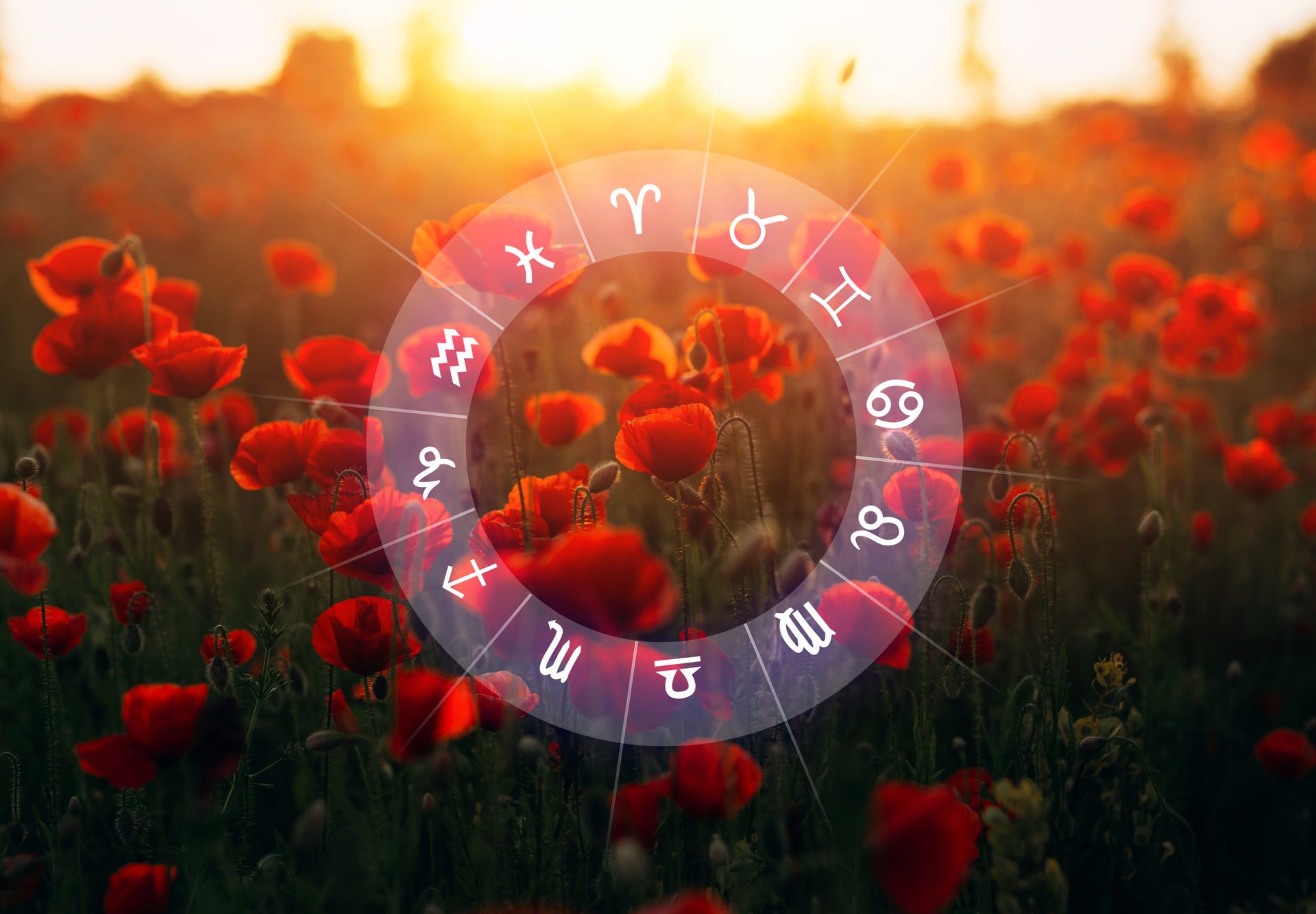 Horoscop zilnic 5 august 2025. Influențe puternice ale plantelor. Ce se întâmplă cu aceste zodii