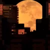 Horoscop special Eclipsa de lună. 3 zodii vor fi afectate crunt, dar alte 2 vor fi mega norocoase. Se schimbă tot ce știam