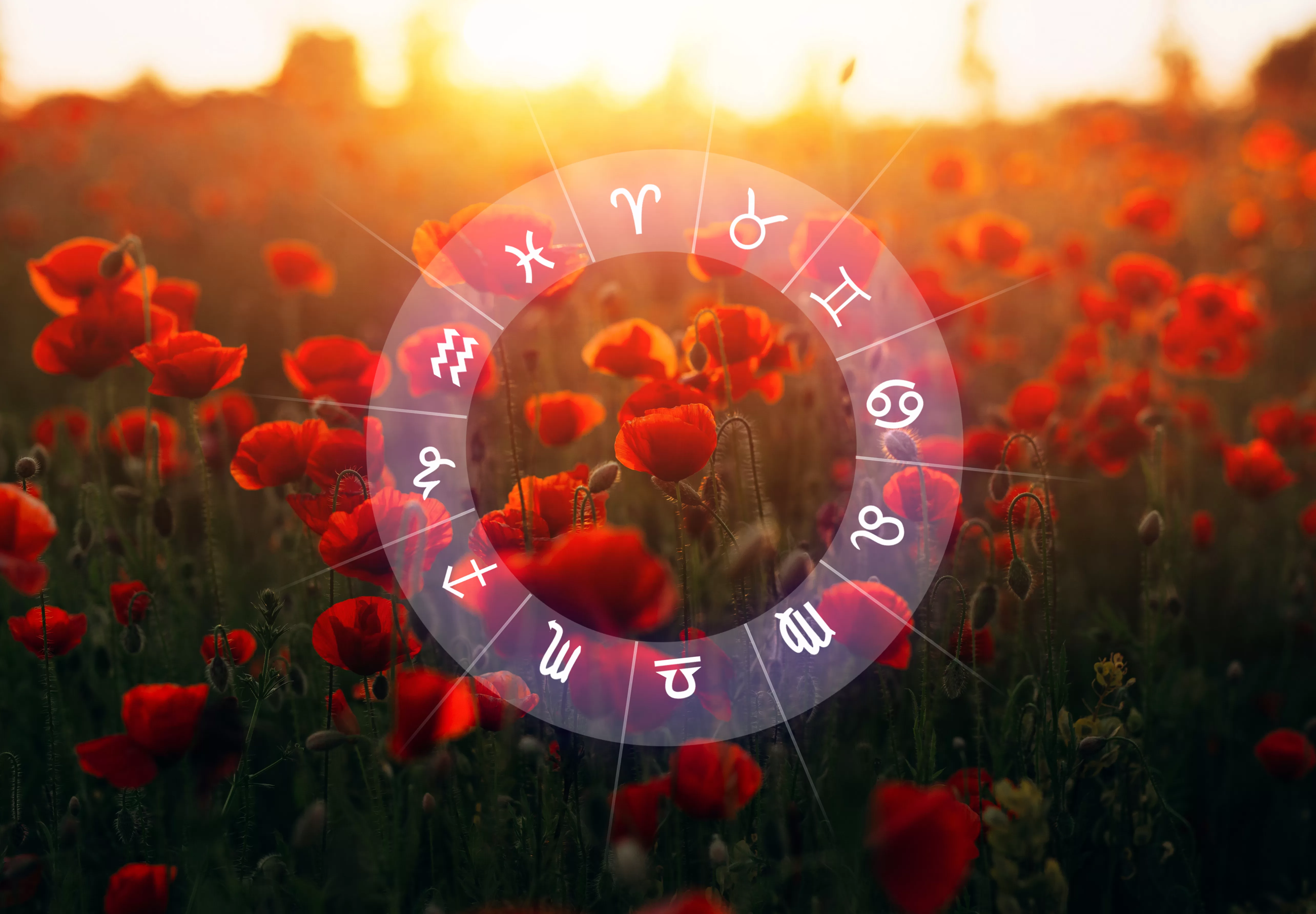 Este o șansă unică în viața lor în ultima zi de septembrie. DOUĂ zodii vor ajunge pe cele mai înalte culmi