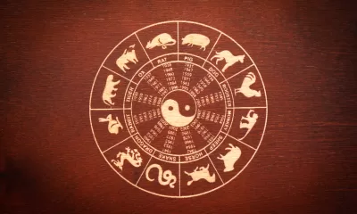 Horoscop chinezesc pentru finalul lunii octombrie 2025. Zodiile care se ridică din cenușă și au parte de un nou început